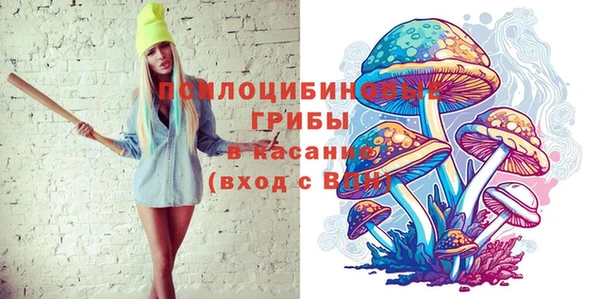 дмт Богородск