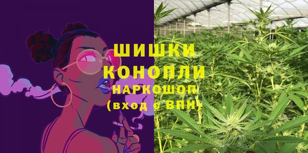 эйфоретик Богданович