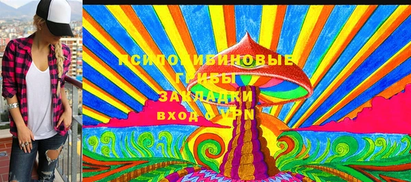 дмт Богородск