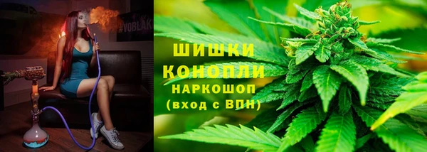 дмт Богородск