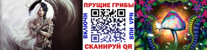 Псилоцибиновые грибы Psilocybine cubensis  Дегтярск 