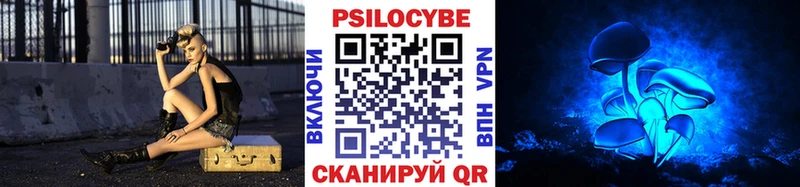 Псилоцибиновые грибы Cubensis Дегтярск